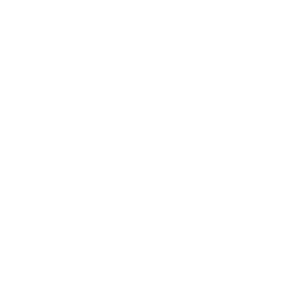 Reform & Vibes icon